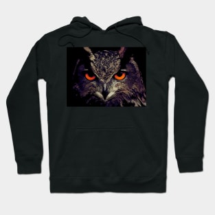 cool owl comic style Hoodie